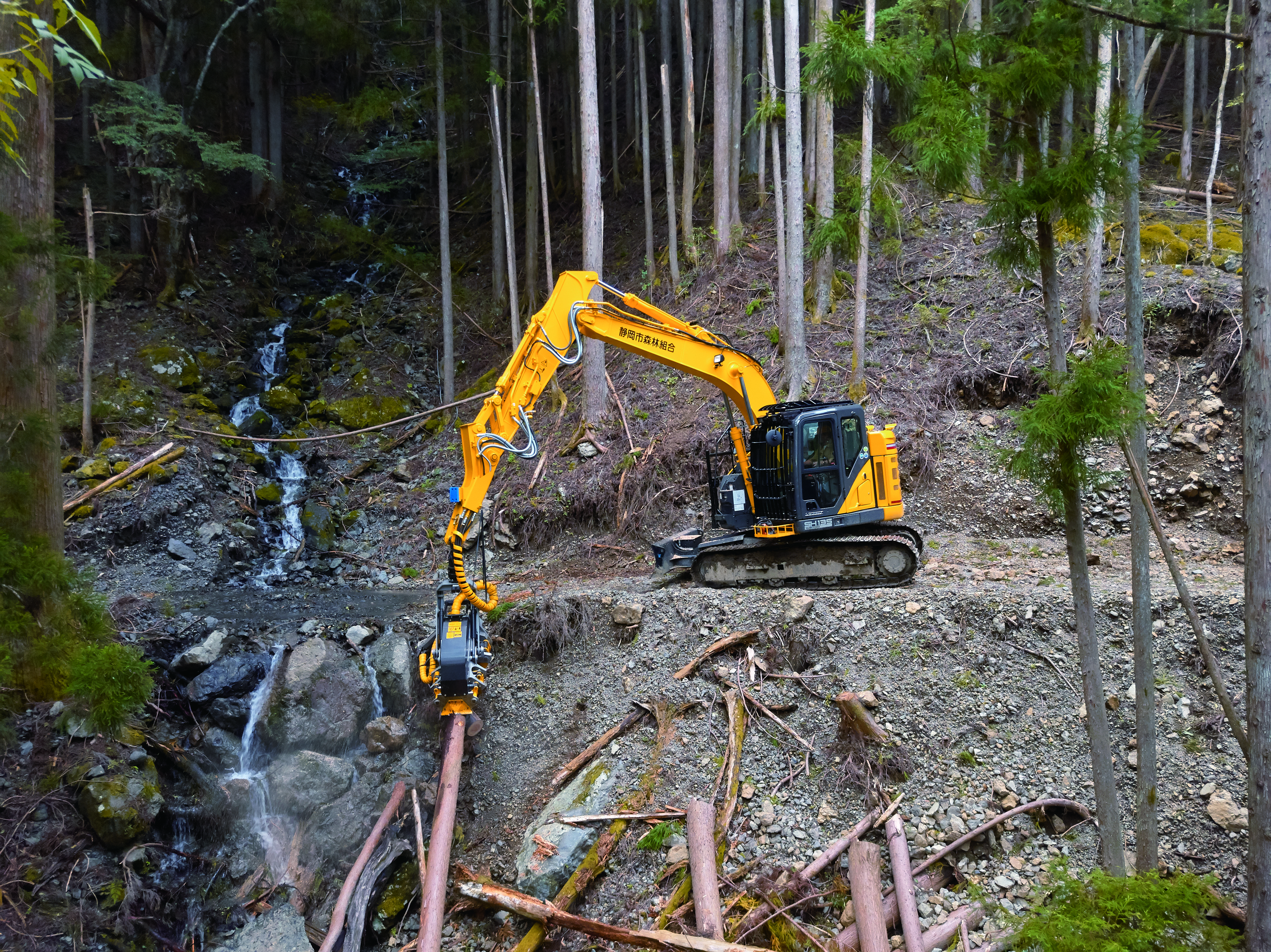 森友vol.10　静岡市森林組合（静岡県）_2018年11月発刊