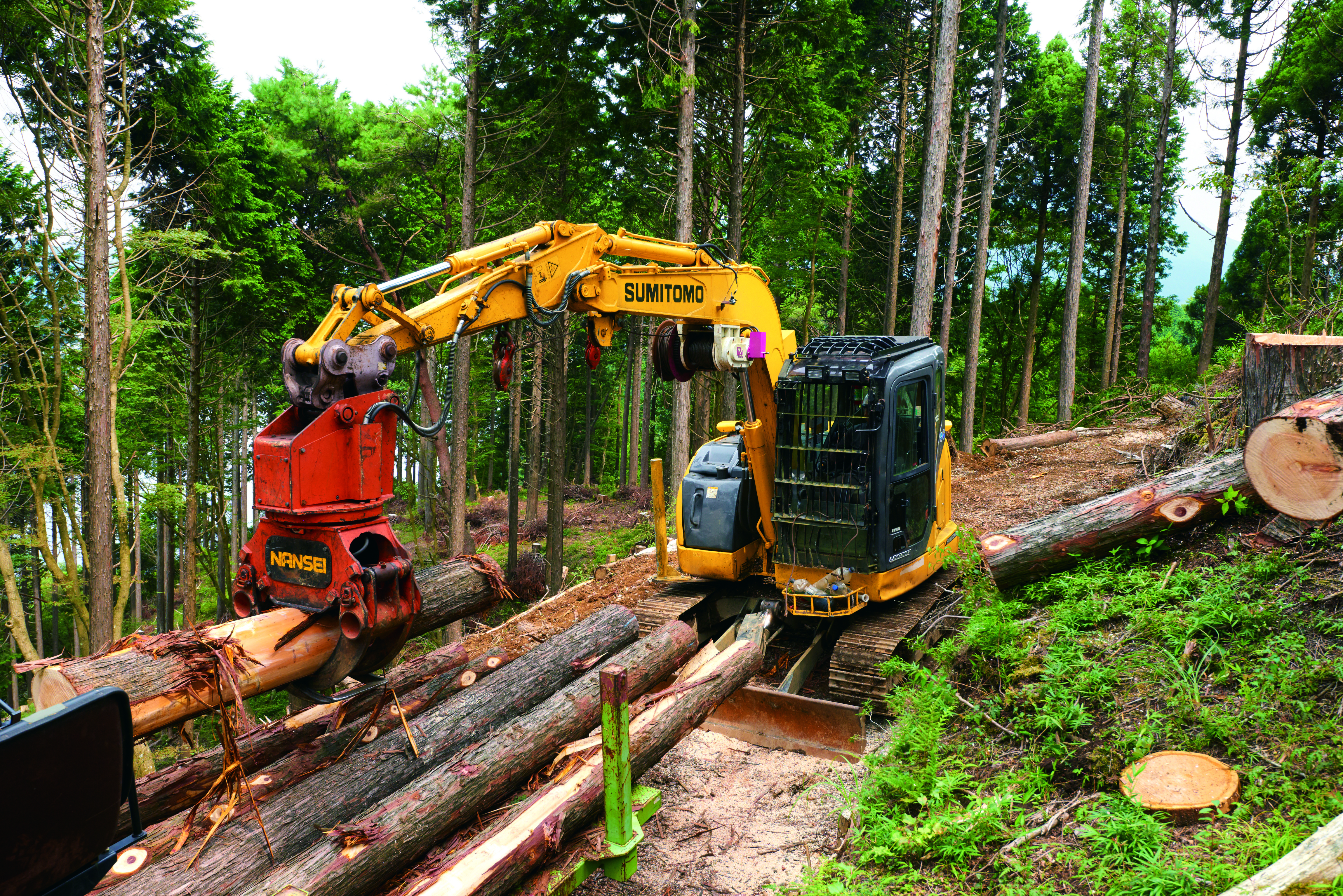 森友vol.11　有限会社西湘造林（神奈川県）_2019年11月発刊