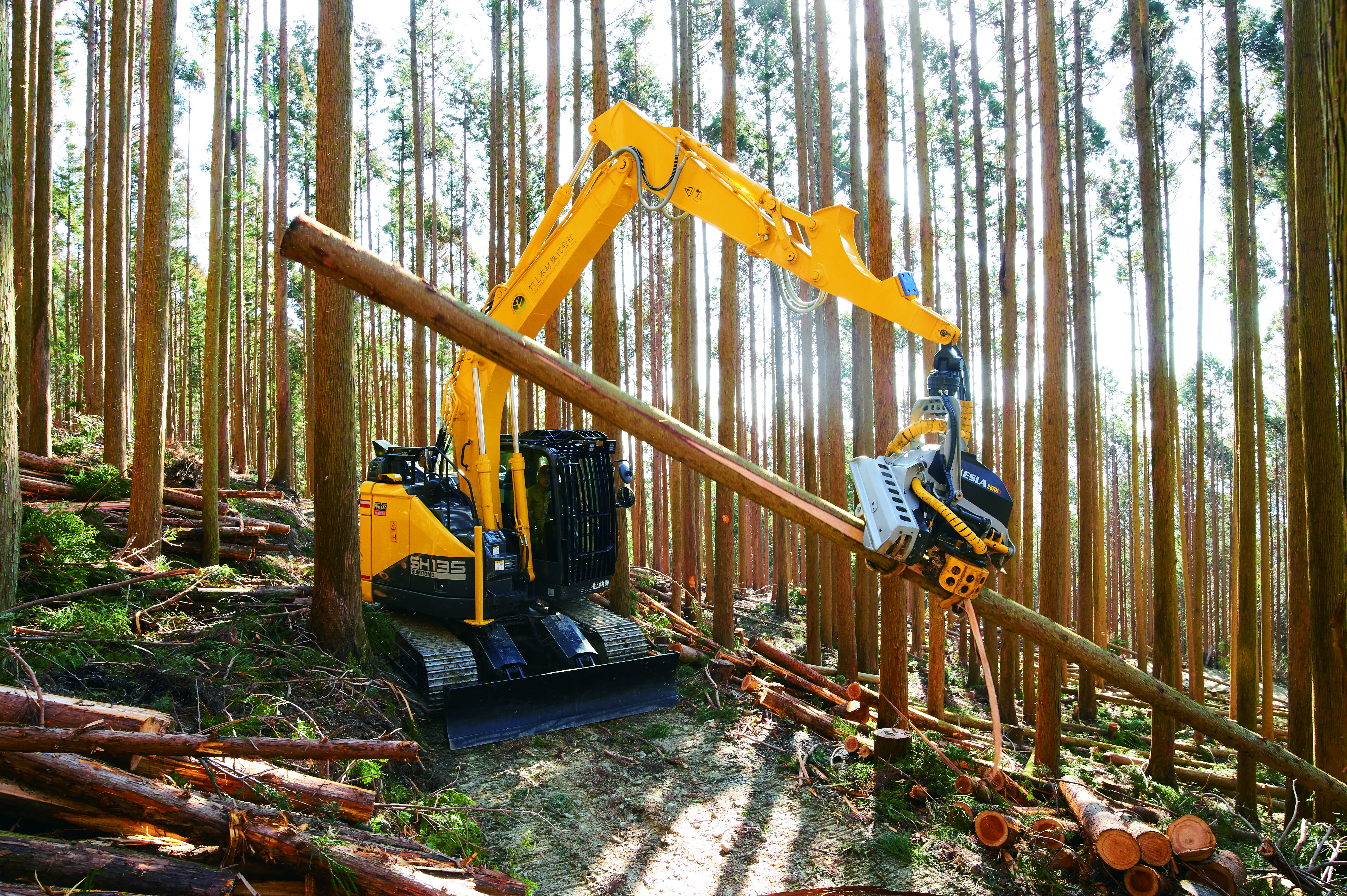 森友vol.11　竹上木材株式会社（和歌山県）_2019年11月発刊