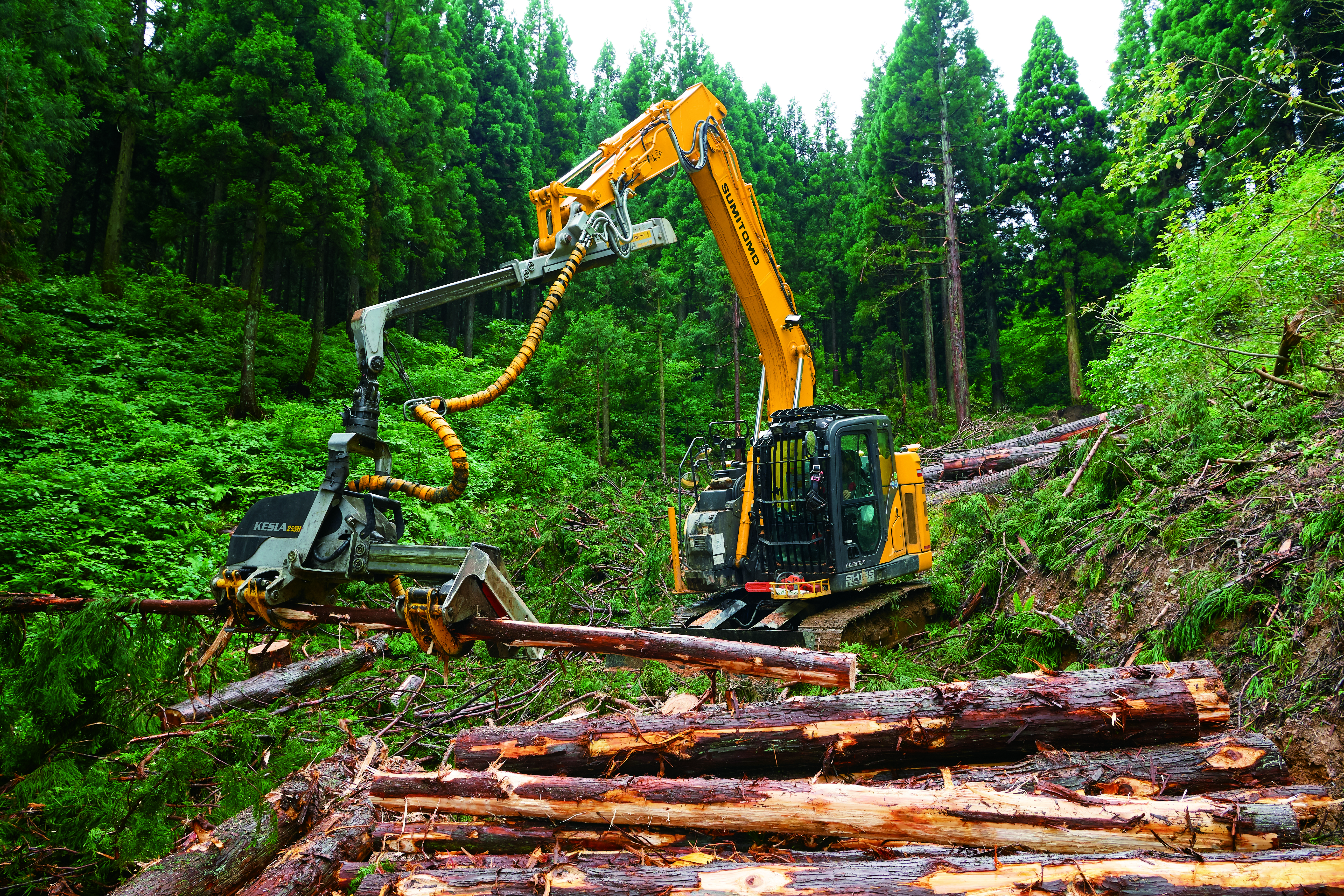 森友vol.12　株式会社島田木材（富山県）_2021年7月発刊