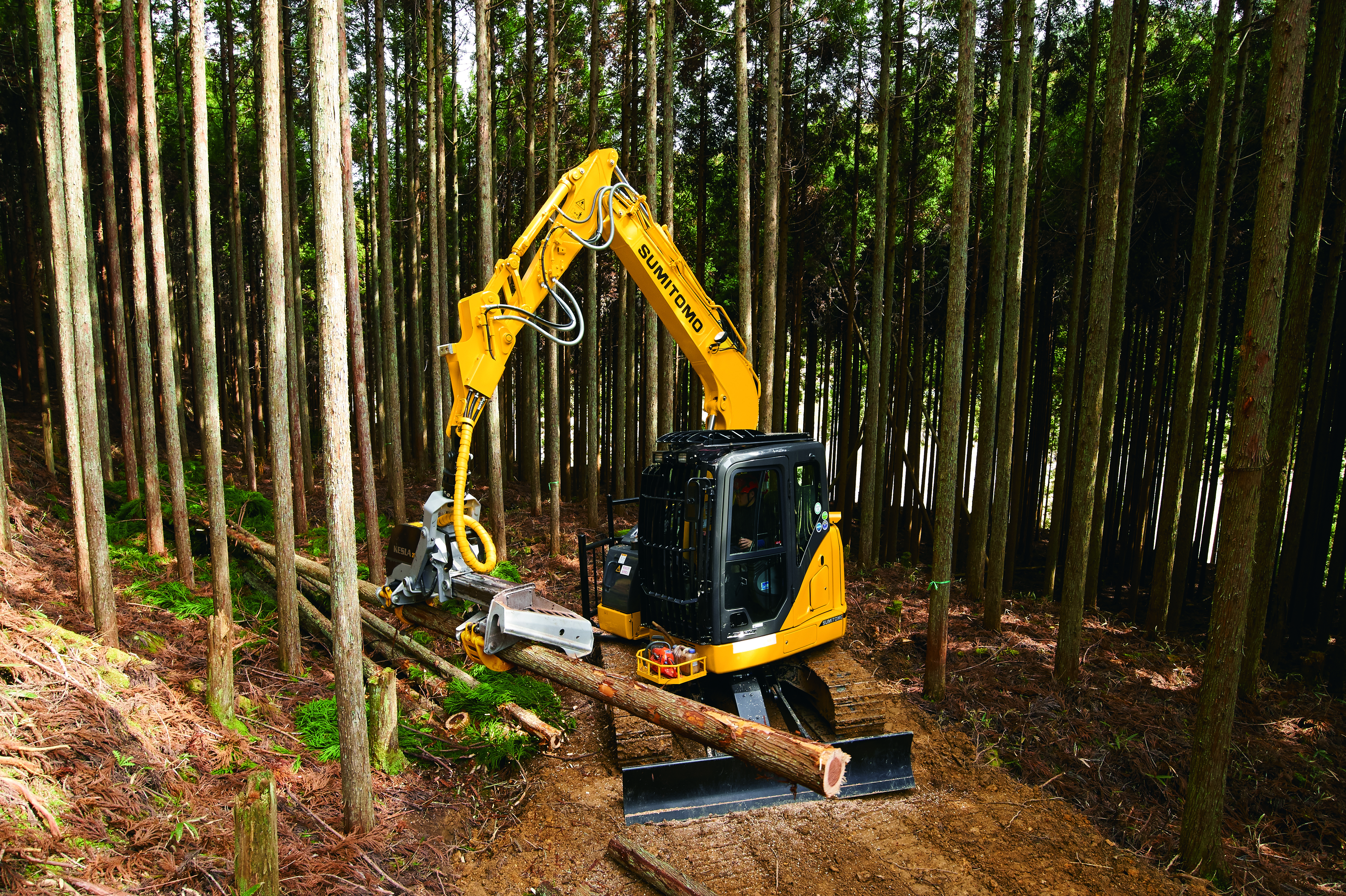 森友vol.13　米嶋銘木株式会社（京都府）_2021年10月発刊