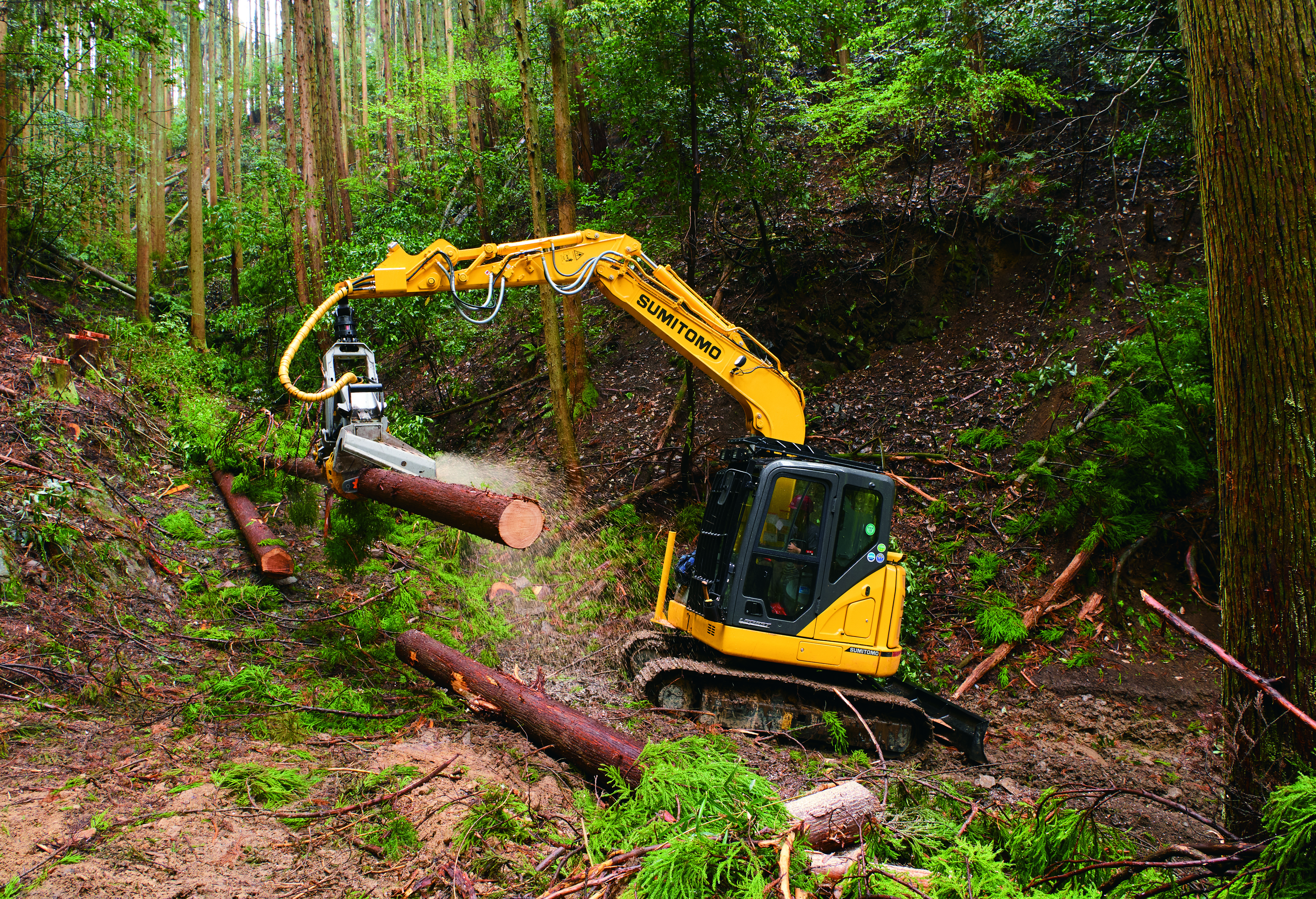 森友vol.14　株式会社リーヴフォレスト（大分県）_2022年11月発刊