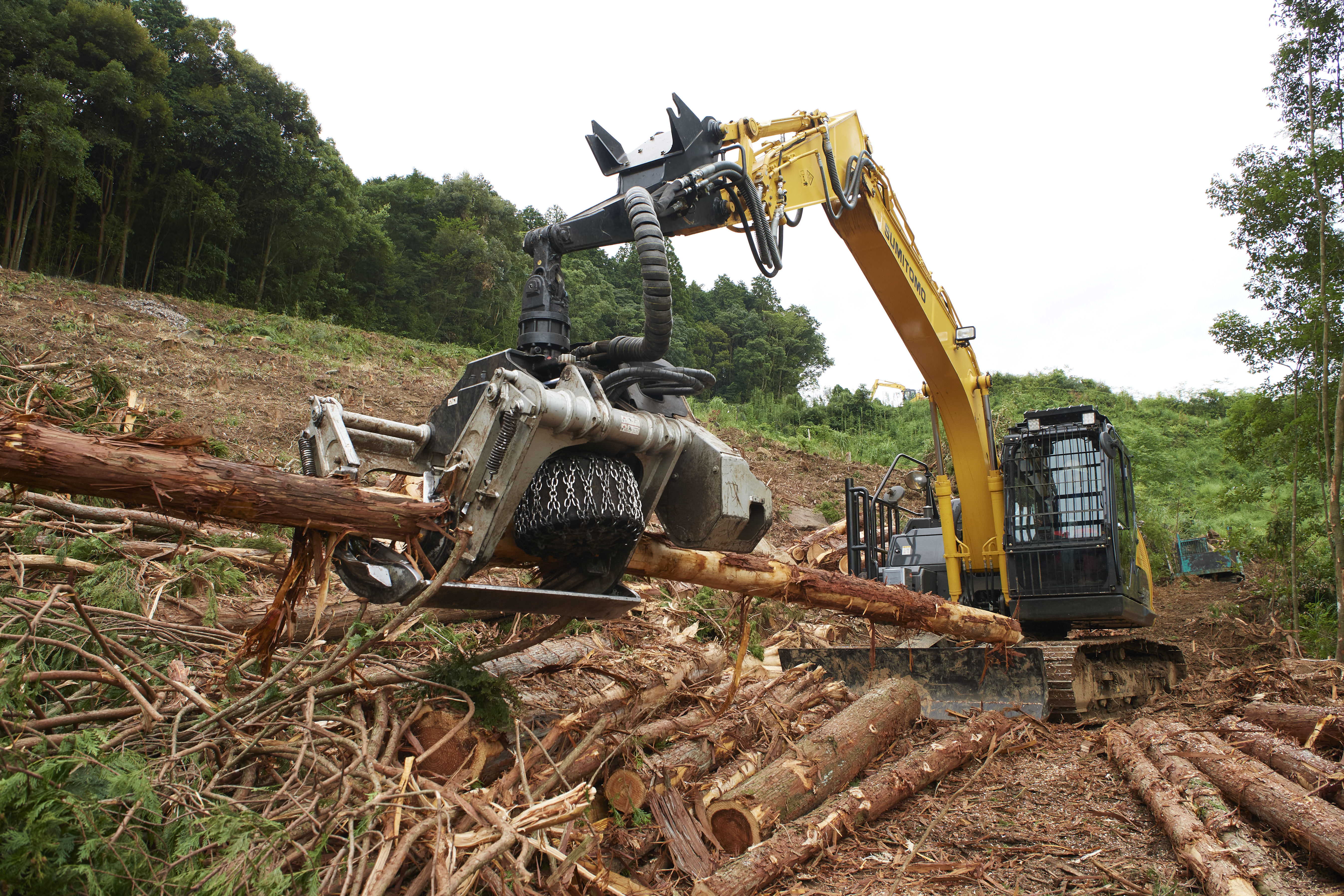 森友vol.15　有限会社大川林業（熊本県）_2023年11月発刊