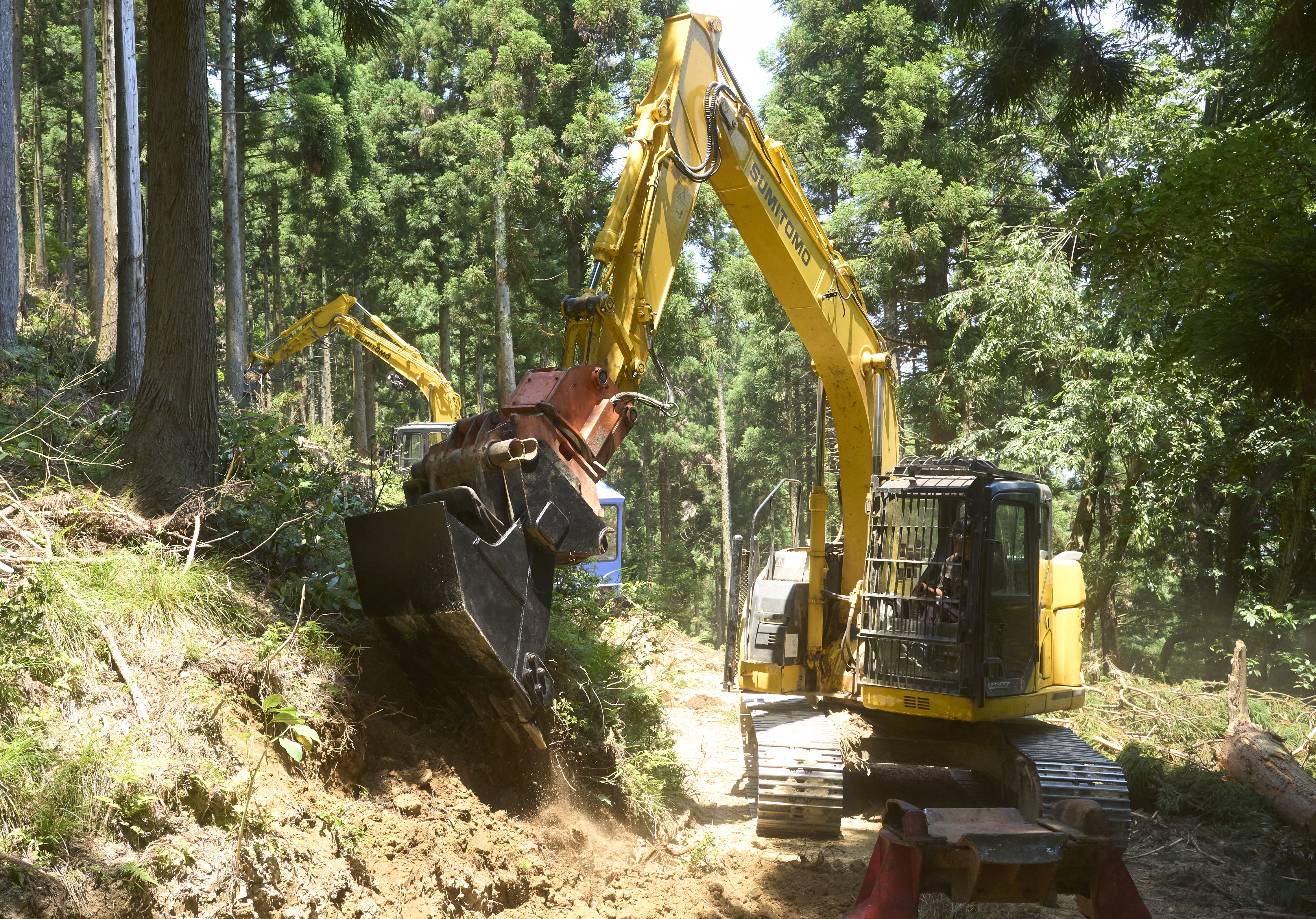 森友vol.16　株式会社大義林産（福井県）_2024年10月発刊