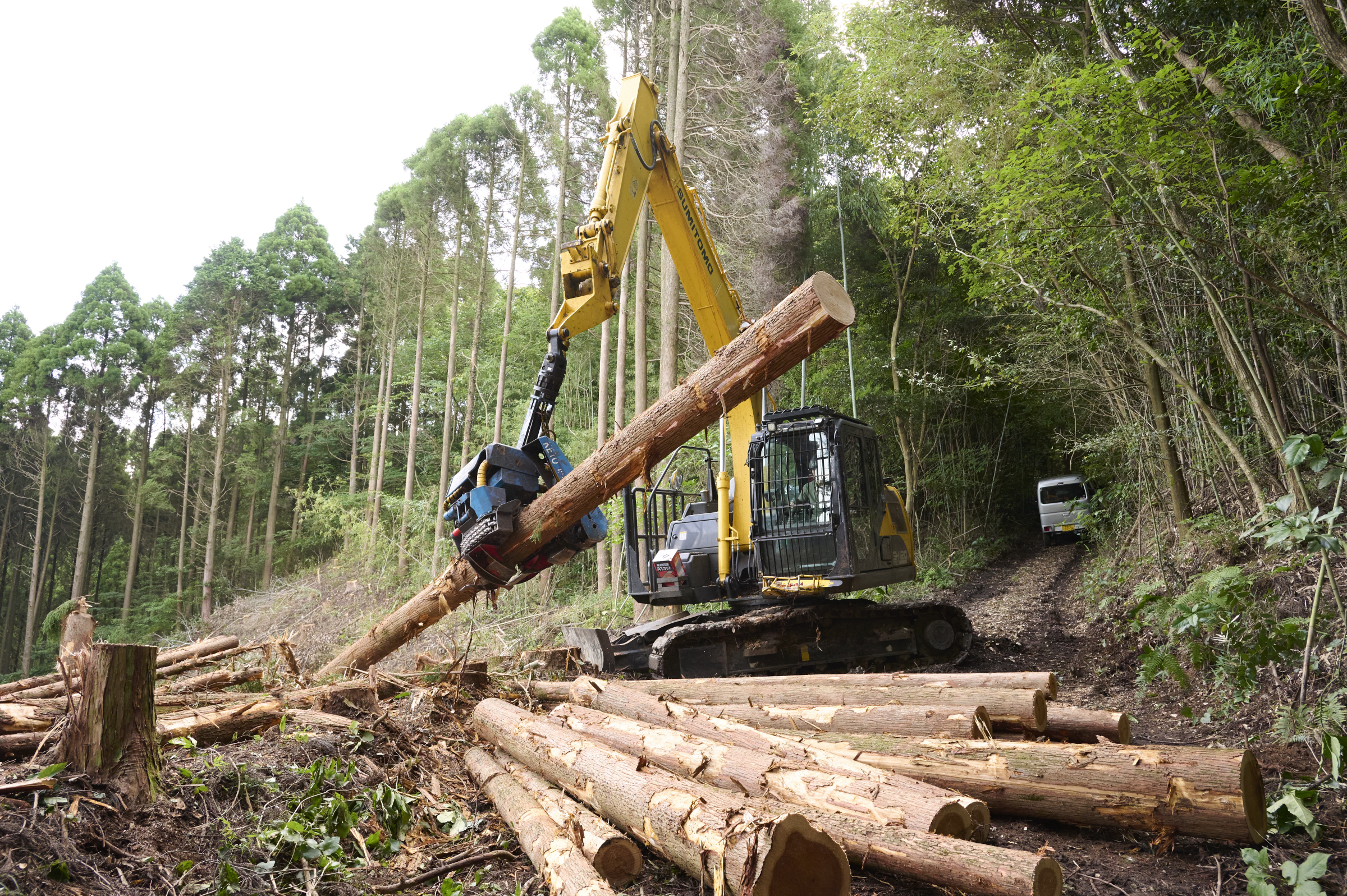 森友vol.16　山元林業（宮崎県）_2024年10月発刊